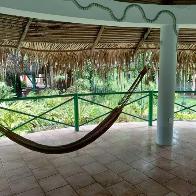 Hotel la Guarida background