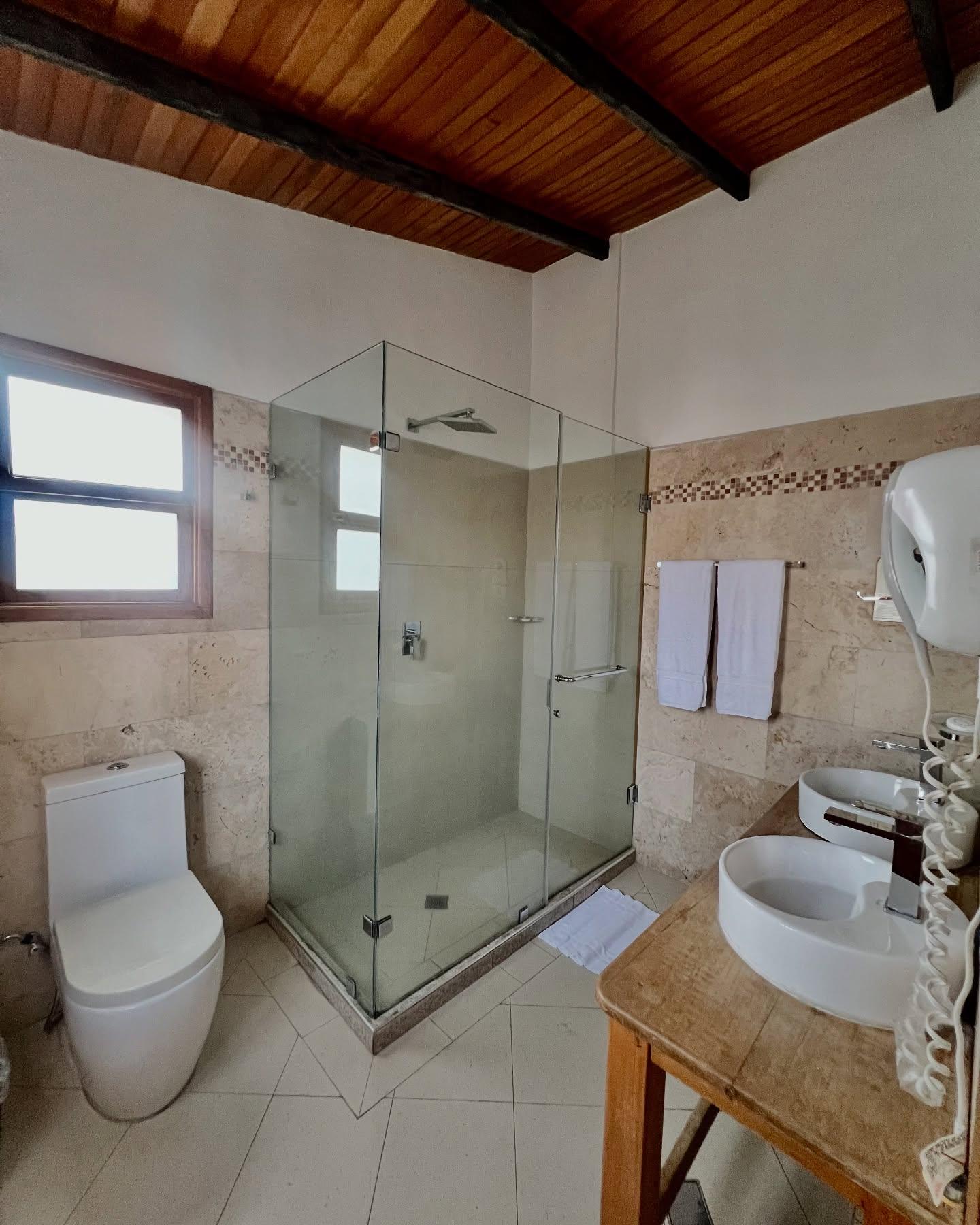 Casa Rosada background