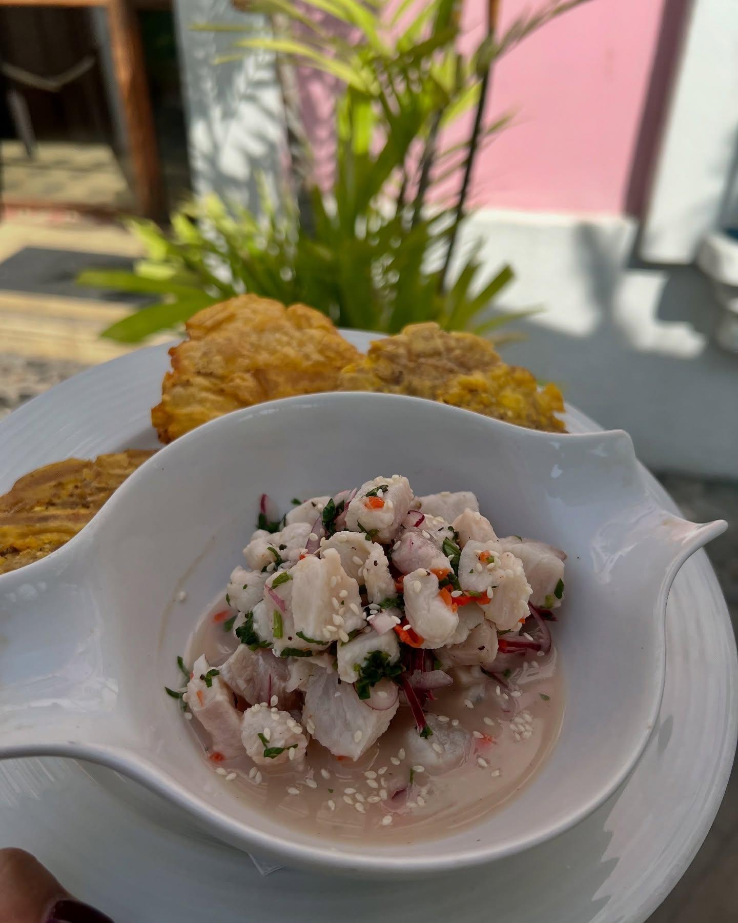 Casa Rosada background