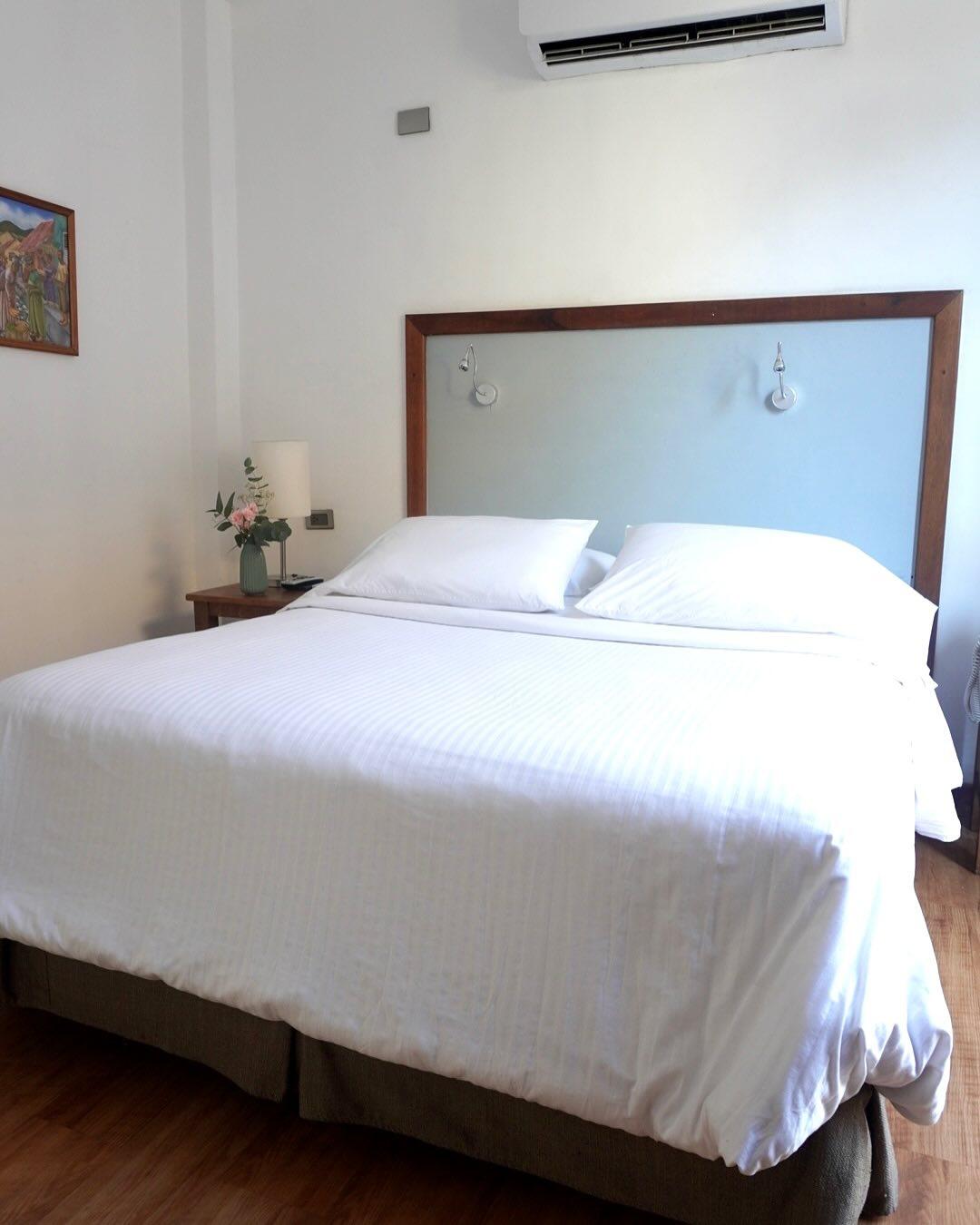 Casa Rosada background