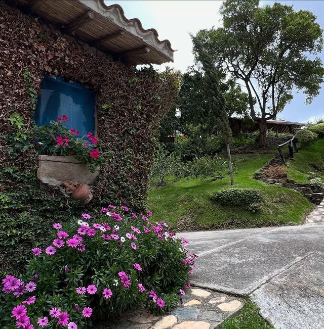 Villa Rocca Di Papa - Imagen 5