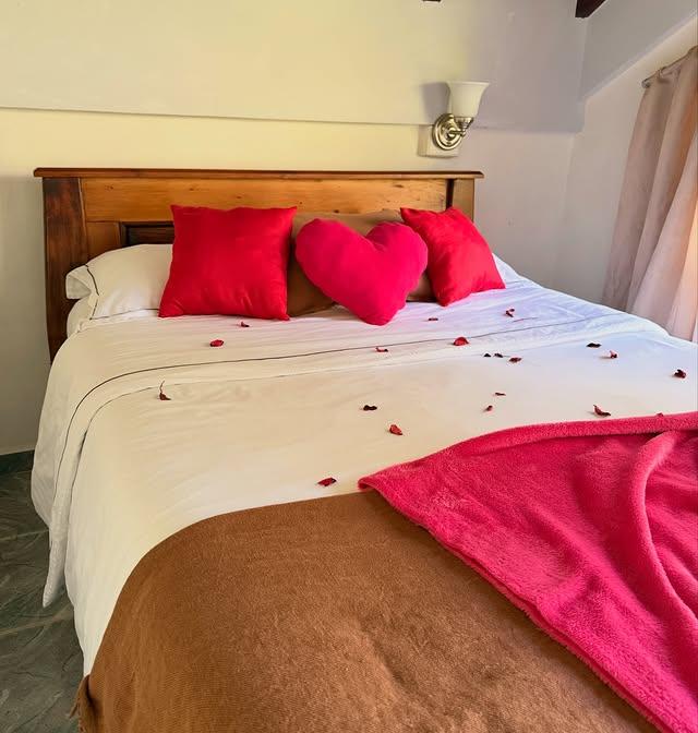 Villa Rocca Di Papa - Imagen 14