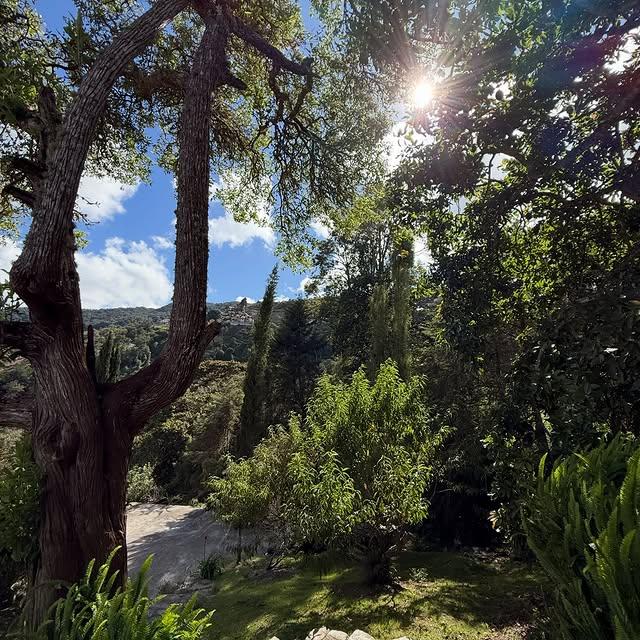 Villa Rocca Di Papa - Imagen 10