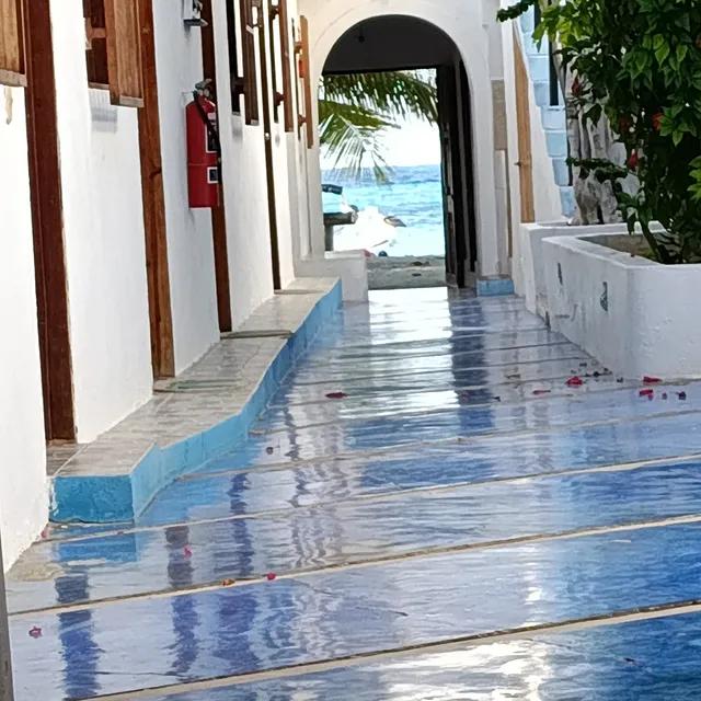 Posada Doña Carmen - Imagen 5