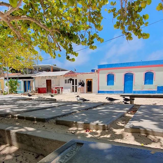 Posada Los kankises - Imagen 2