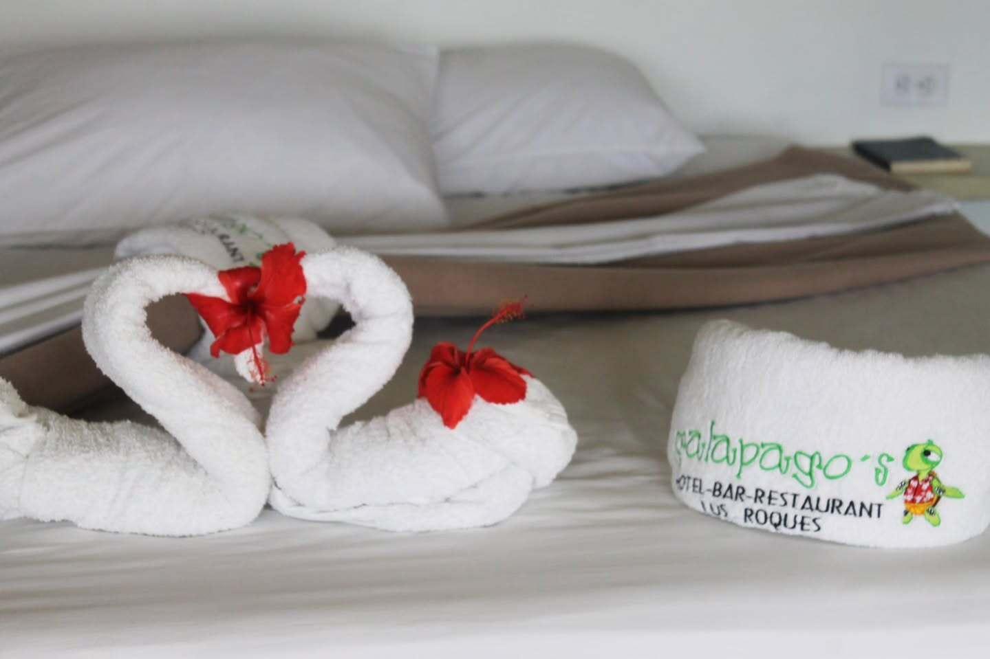 Posada Galapagos - Imagen 4