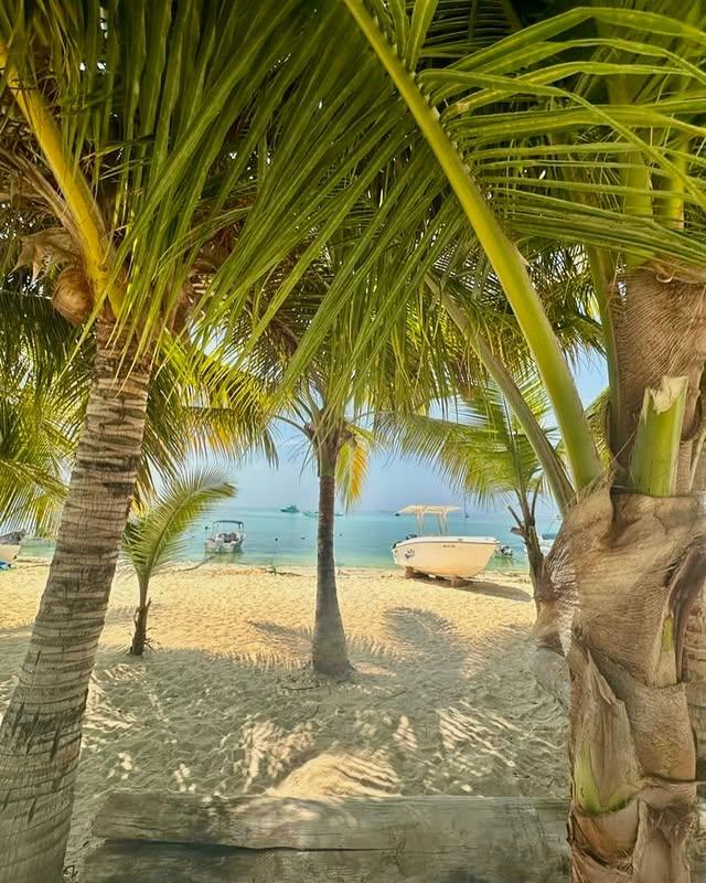 Posada Acuario - Imagen 8