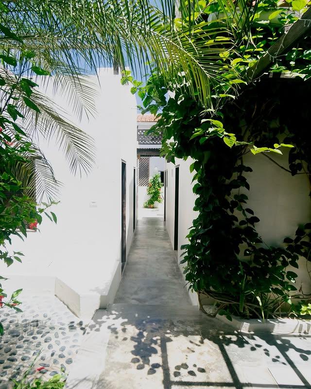 Posada Piano y Papaya - Imagen 9