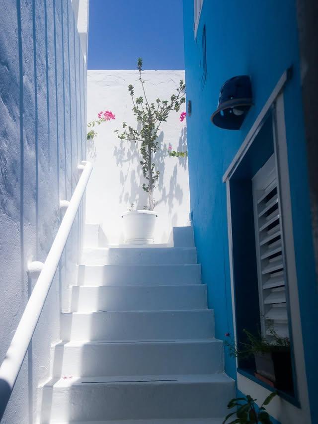 Posada La Gaviota - Imagen 7