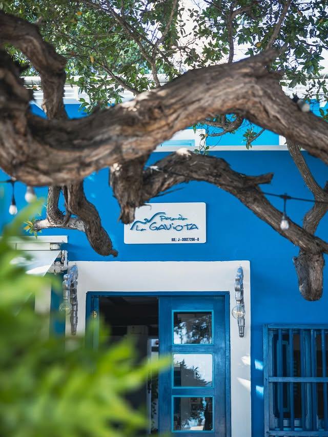 Posada La Gaviota - Imagen 3