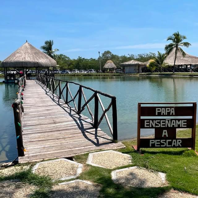 Koral OHS Hotel - Imagen 5