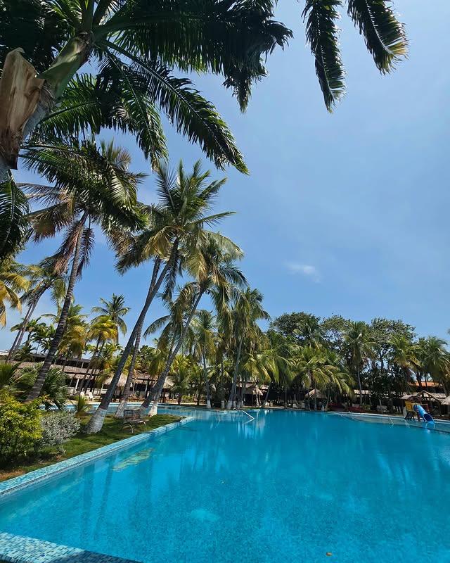 Koral OHS Hotel - Imagen 10