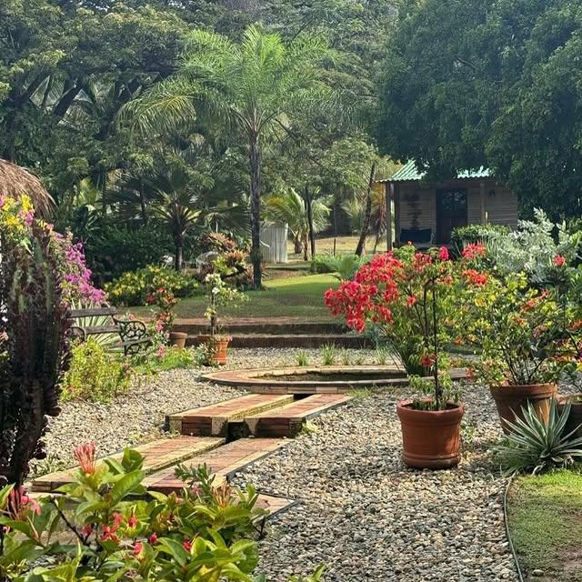 Posada Los Cocos - Imagen 5