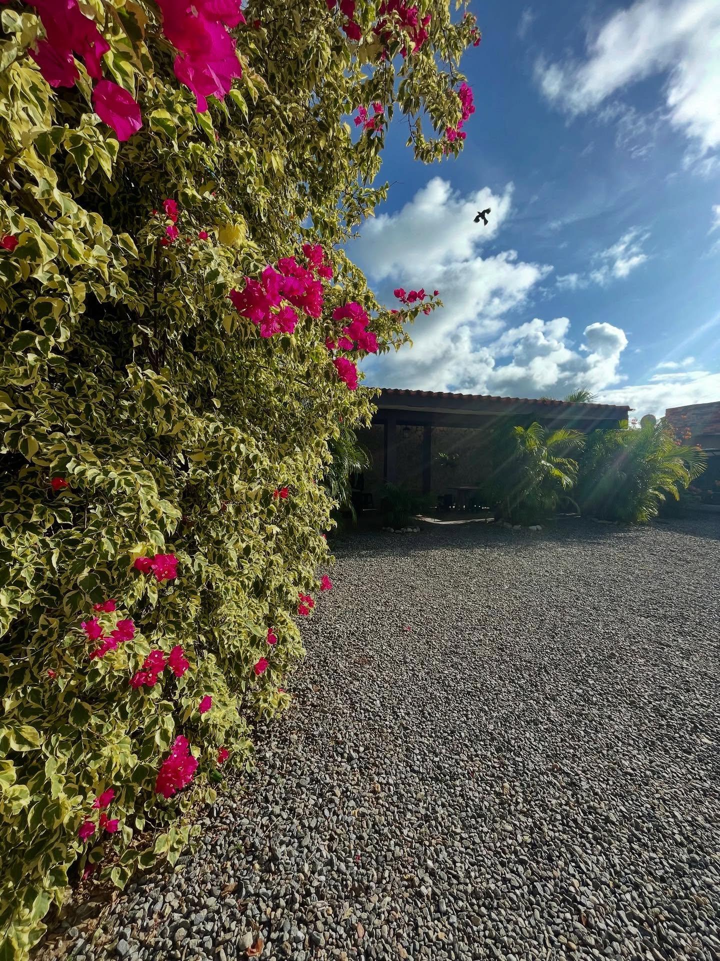 Posada Isla Bonita - Imagen 13