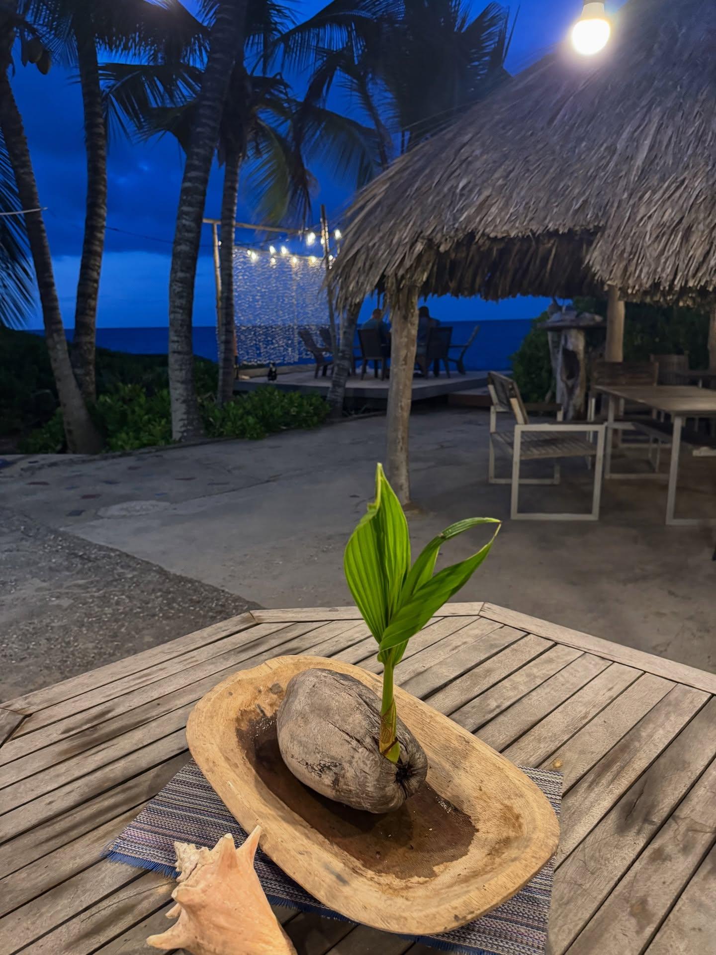 Posada Morokkue - Imagen 8