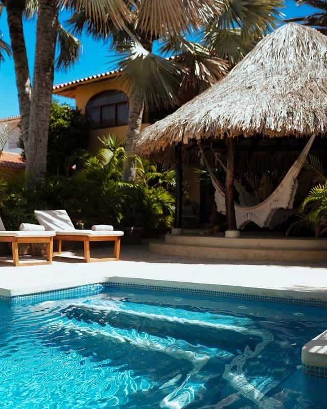 La Buganvilla - Imagen 6