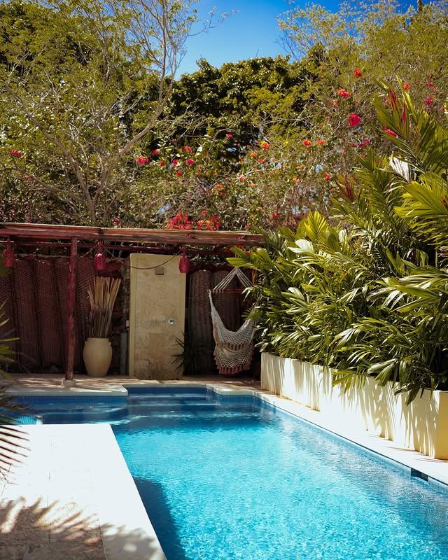 La Buganvilla - Imagen 2