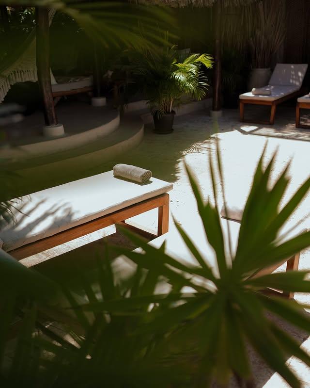 La Buganvilla - Imagen 8