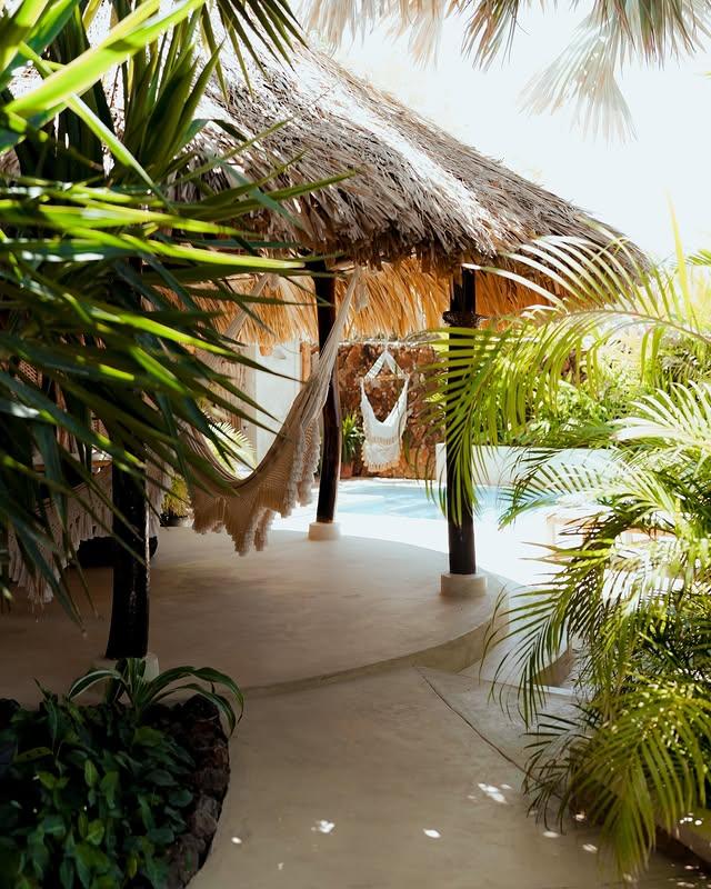 La Buganvilla - Imagen 5