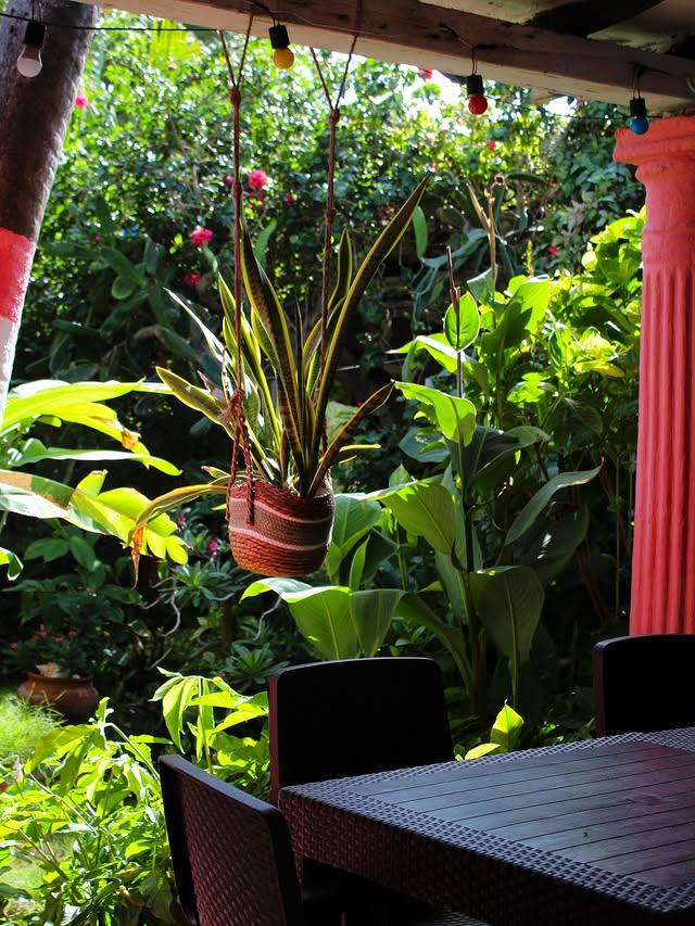 Casa Rosada Adicora - Imagen 11