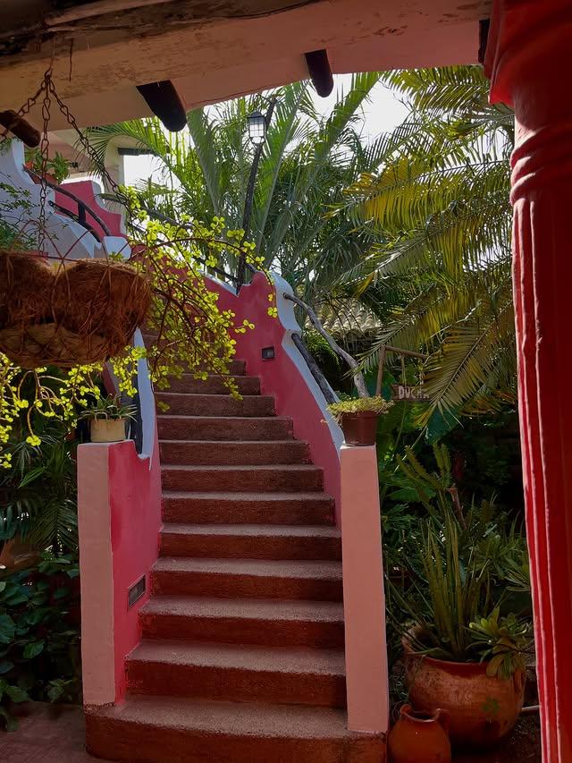 Casa Rosada Adicora - Imagen 3