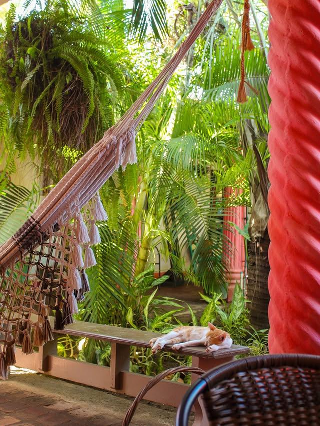 Casa Rosada Adicora - Imagen 15