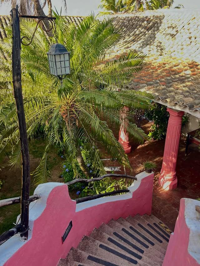 Casa Rosada Adicora - Imagen 16