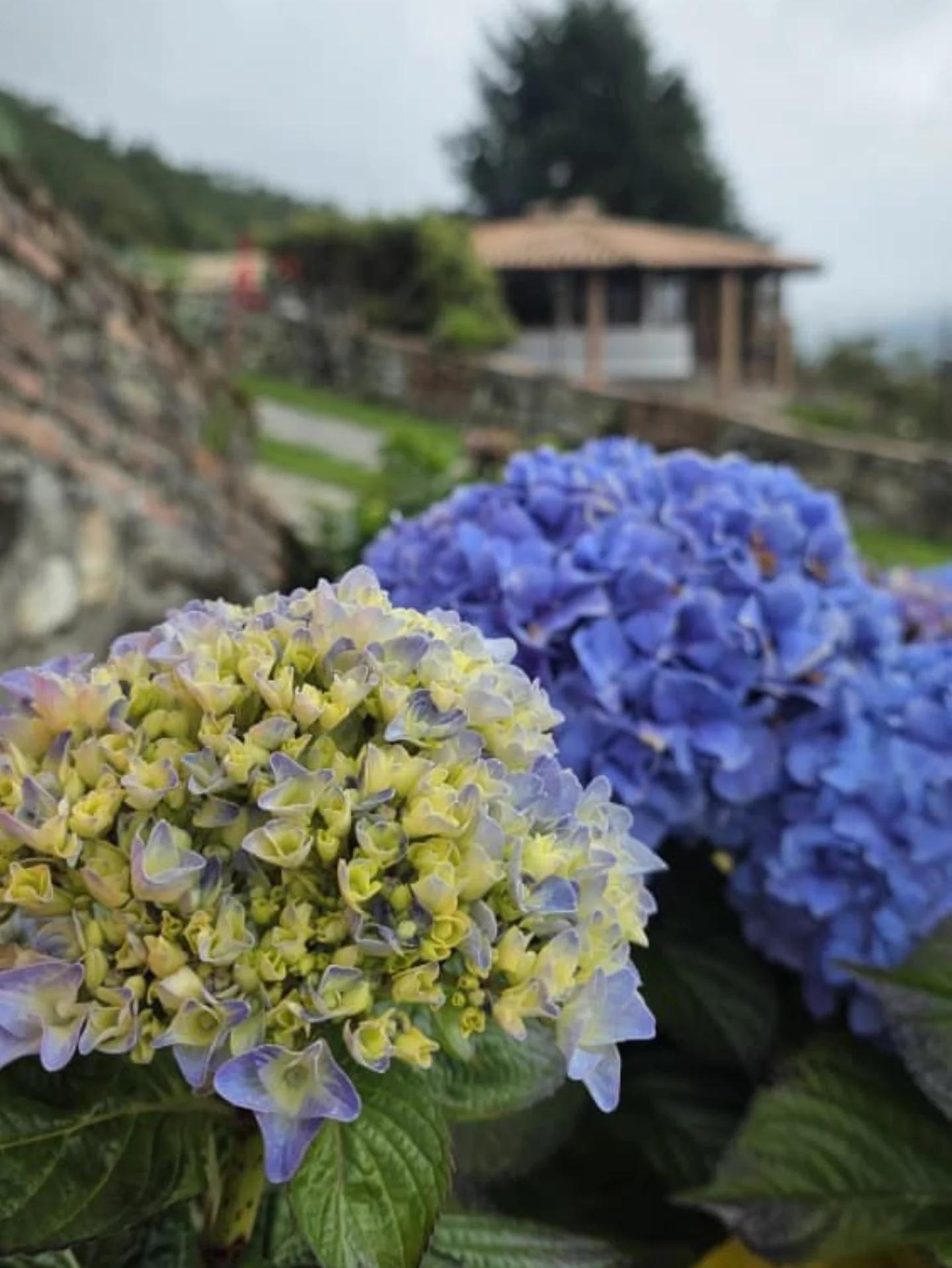 Estancia Villa Florida - Imagen 8