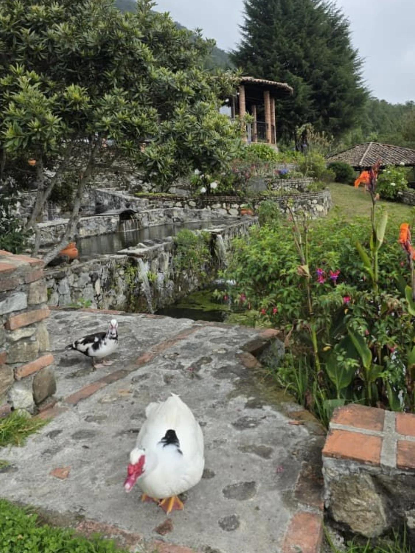 Estancia Villa Florida - Imagen 4