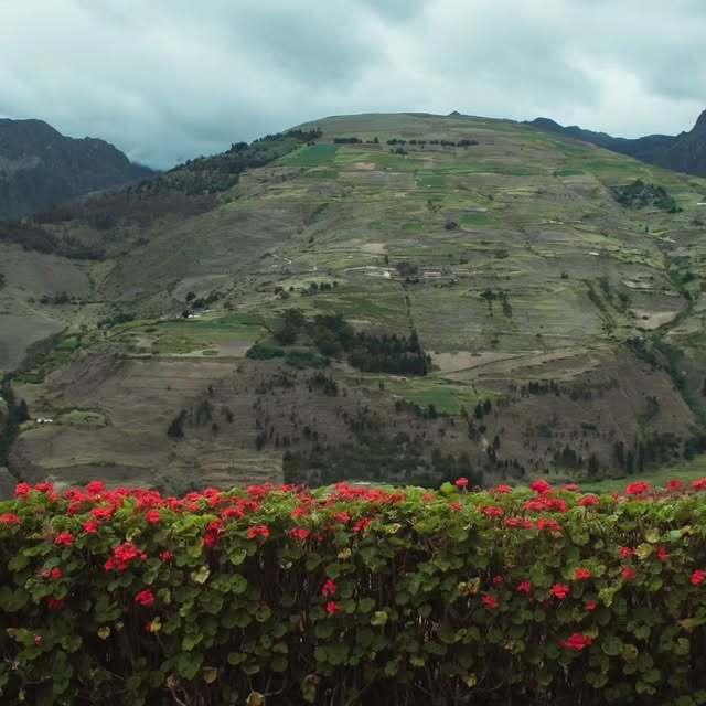 Refugio Mitanti - Imagen 14