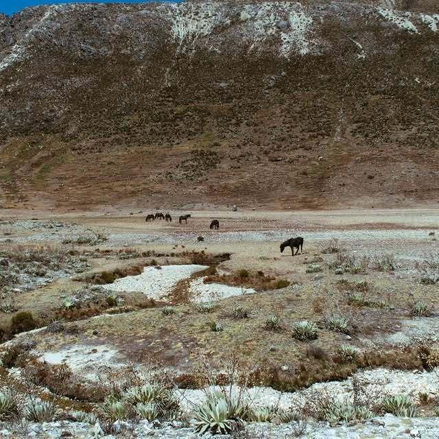 Refugio Mitanti - Imagen 4