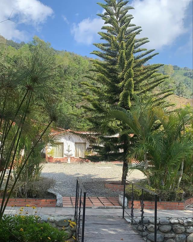 Cabañas Lasso De La Vega - Imagen 1