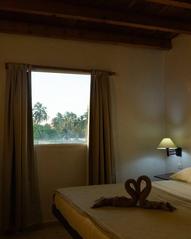 Posada Cocolandia background