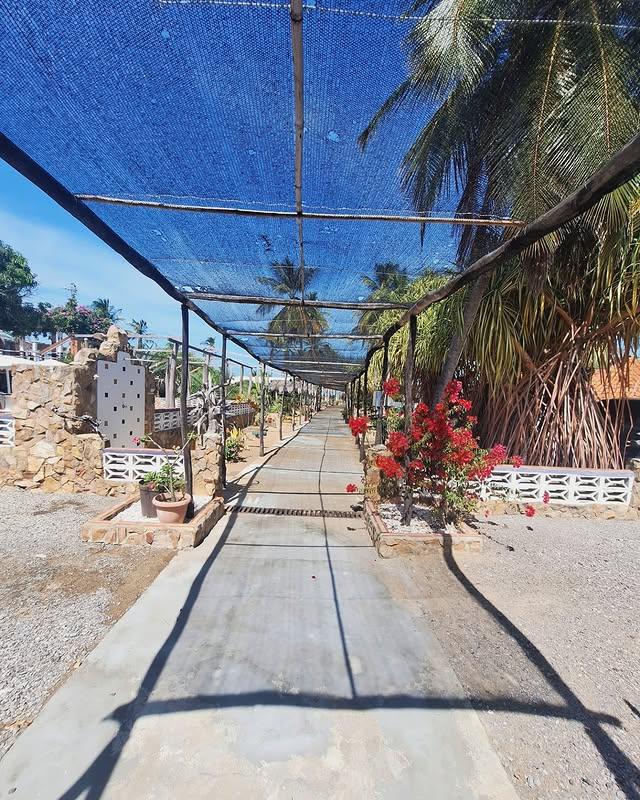 Posada Oro Verde - Imagen 4