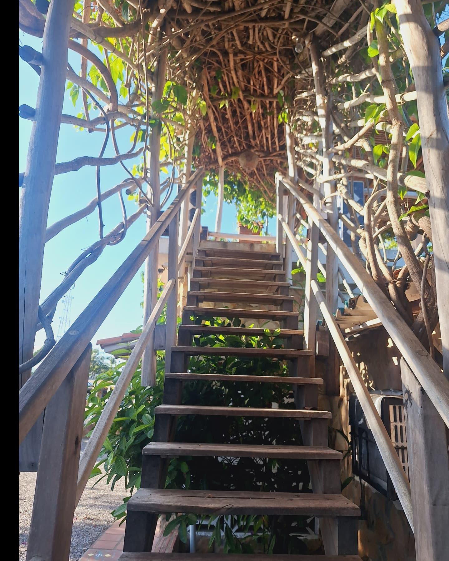 Posada Oro Verde - Imagen 6