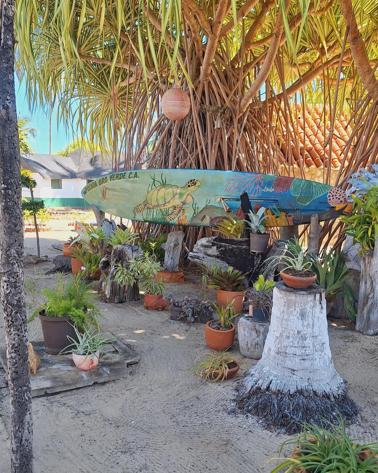 Posada Oro Verde - Imagen 12