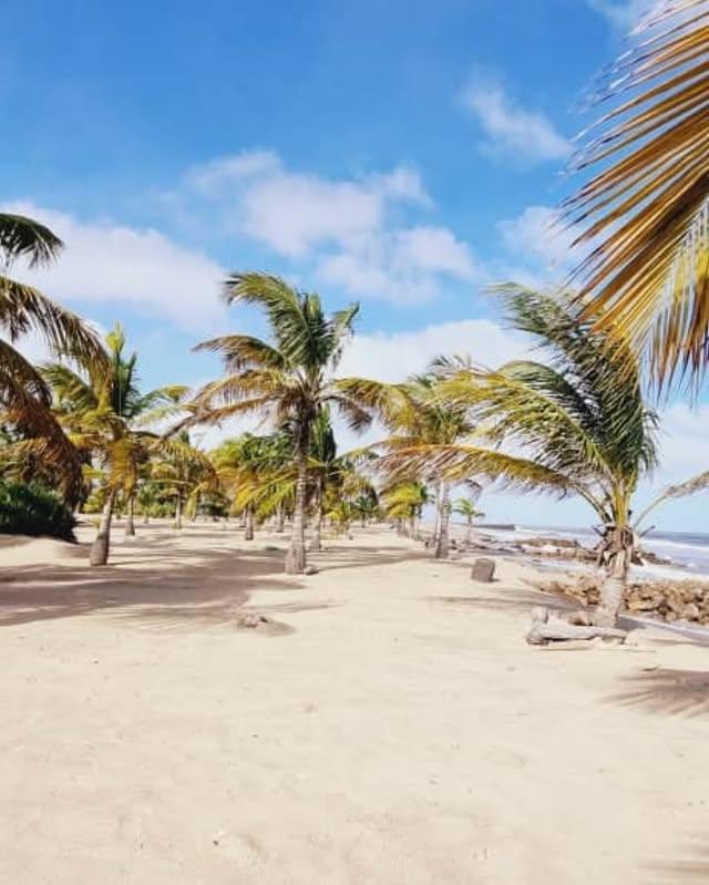 Posada Oro Verde - Imagen 3