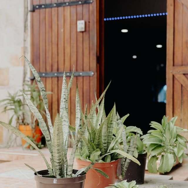 Posada La Carreta background