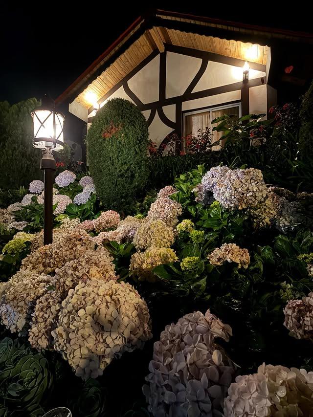 Cabañas Tita background