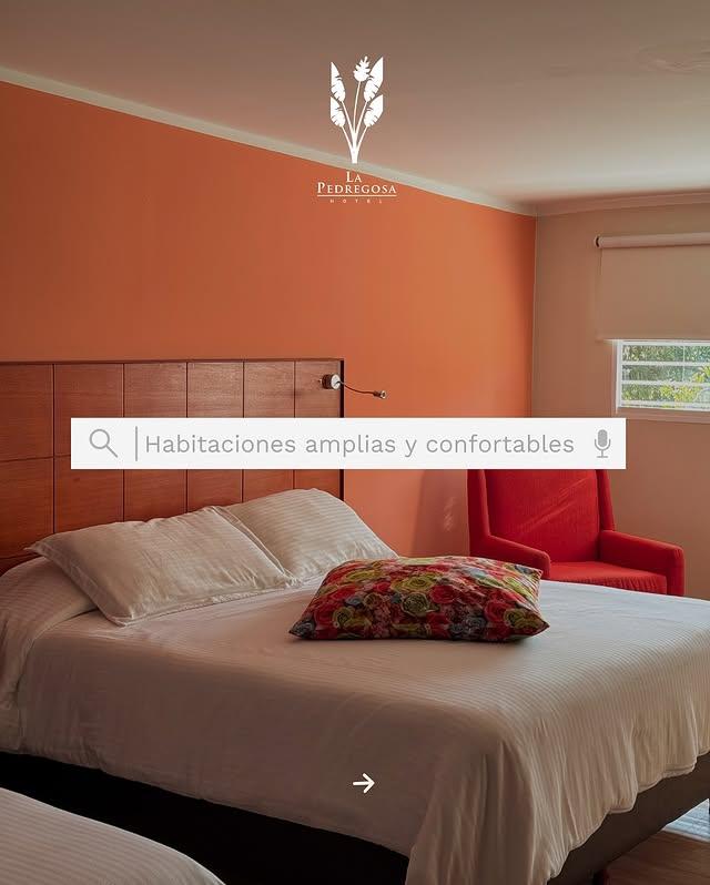 Hotel la Pedregosa background