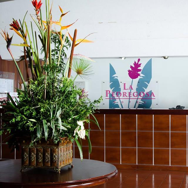 Hotel la Pedregosa background