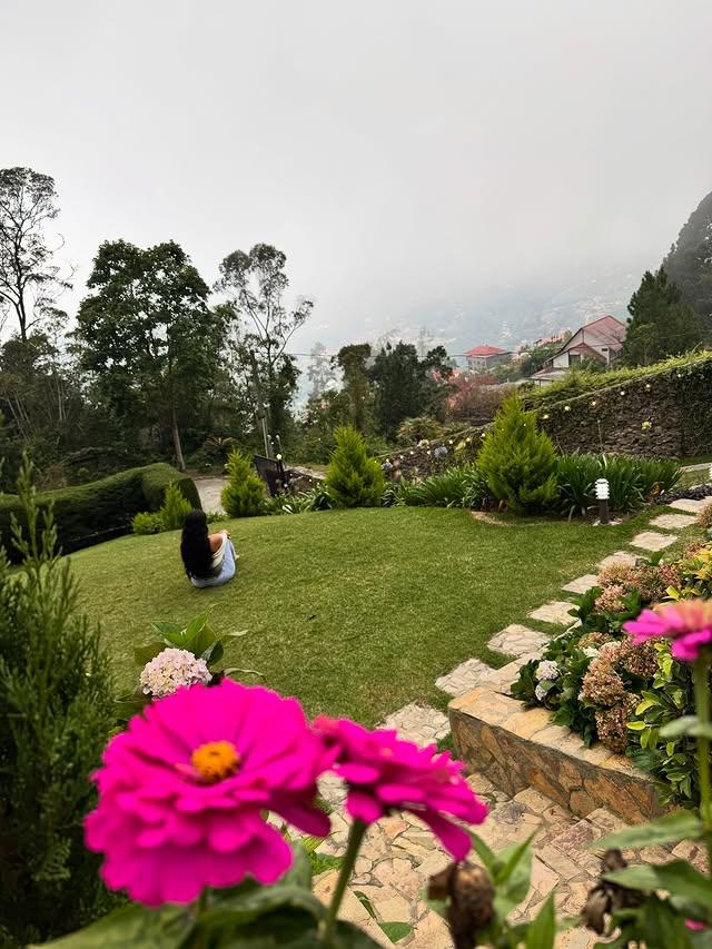 Villa Morgentau background