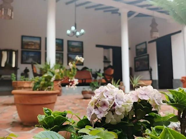 Posada Suiza background