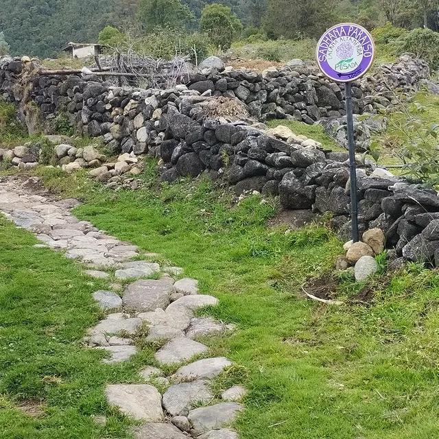 Sadhana Paraiso - Imagen 8