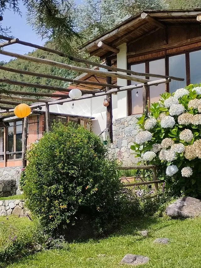 Sadhana Paraiso - Imagen 4