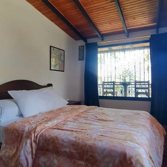 Granja Alegria background