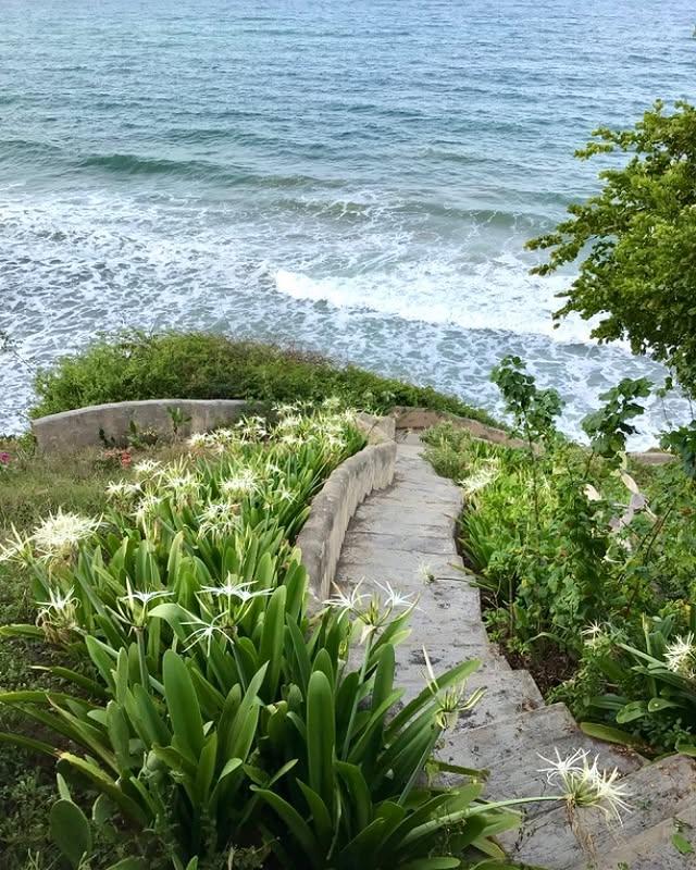 Vista Claro Rancho background